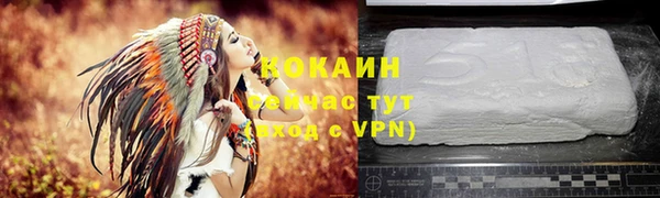 сатива Струнино