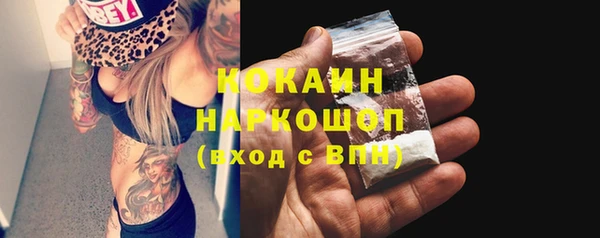 сатива Струнино
