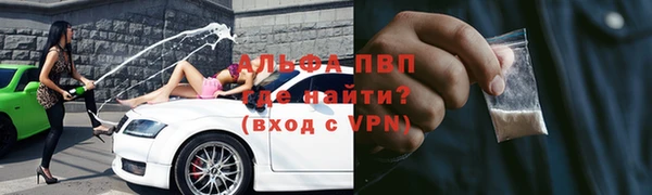 винт Сураж