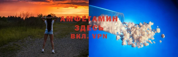 сатива Струнино