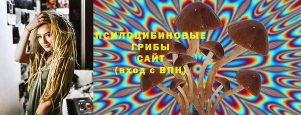 дживик Ступино