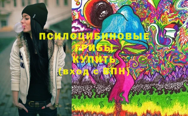 дживик Ступино