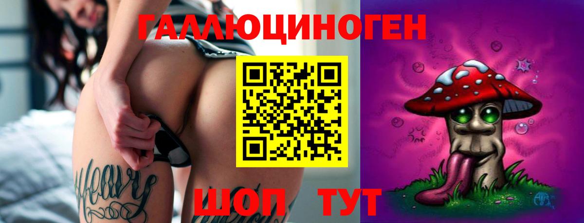 Удомля  хочу наркоту  Псилоцибиновые грибы Cubensis  Вход с VPN  Псилоцибиновые грибы Psilocybe 